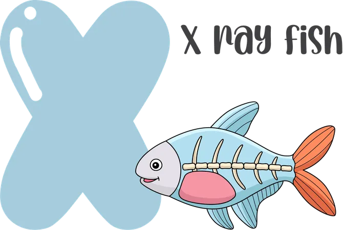 X ray fish  Illustration