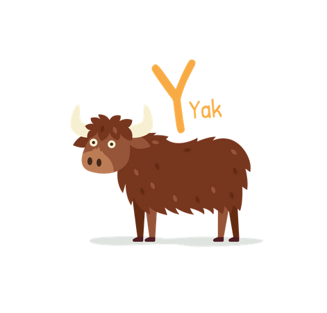 Yak  Illustration