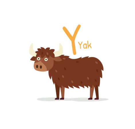 Yak  Illustration