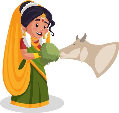 Yashoda maa donne de l'herbe à une vache  Illustration