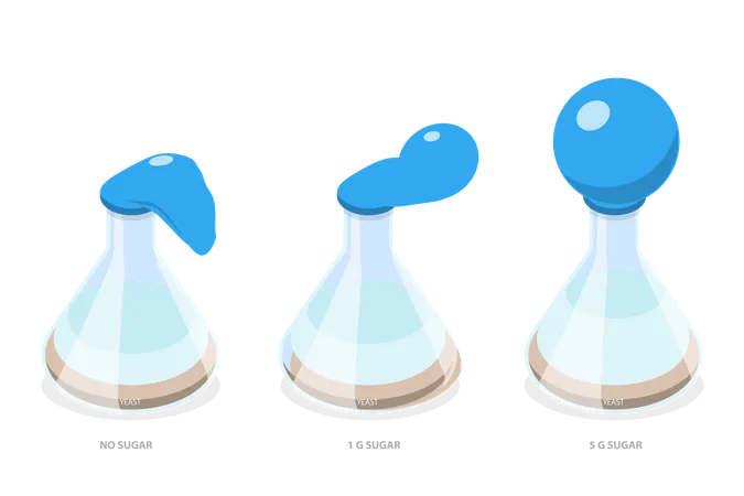 Yeast Cellular Respiration and Science Experiment  イラスト