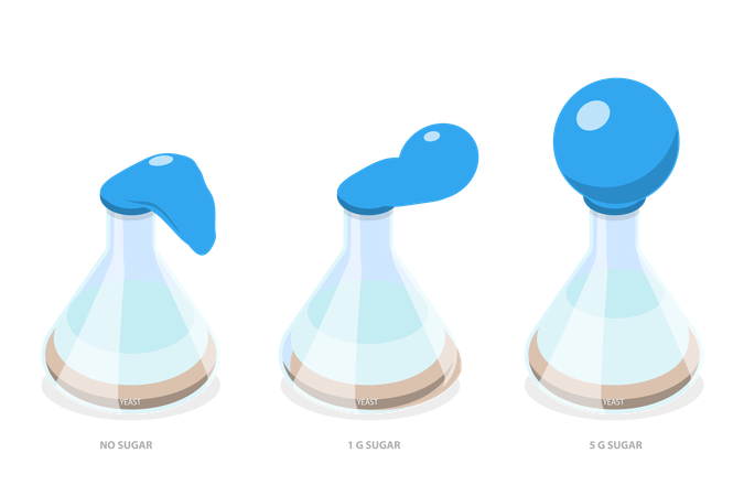 Yeast Cellular Respiration and Science Experiment  Illustration