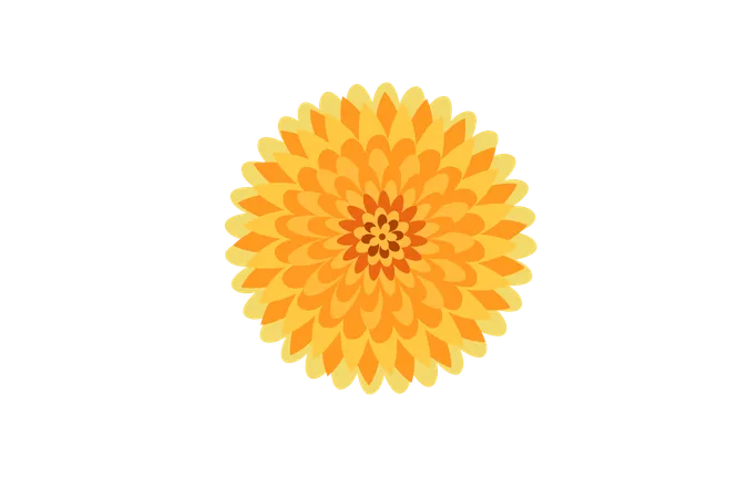 Yellow Dahlia Flower  Illustration