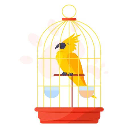 Yellow parrot in cage  イラスト