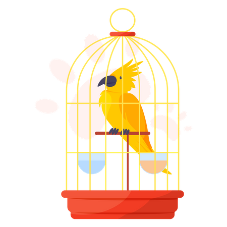 Yellow parrot in cage  Illustration