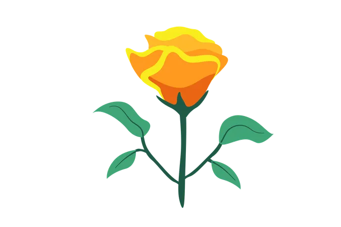 Yellow Rose Flower  Illustration