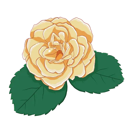 Yellow rose with leaves  Illustration