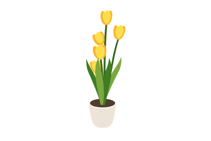 Yellow Tulip Flower  Illustration