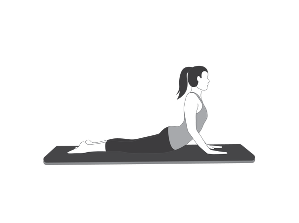 Yoga Girl doing Bhujangasana  Illustration