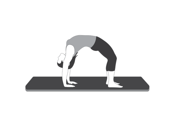 Yoga Girl doing Chakrasana  Illustration