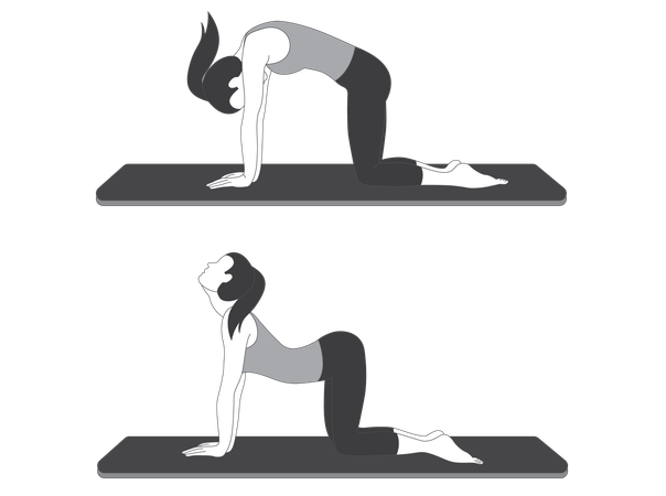 Yoga Girl doing Marjaryasana-Bitilasana  Illustration