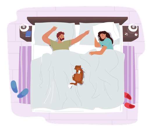 Young Couple Sleeping On Bed With Funny Cat  Illustration