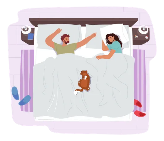 Young Couple Sleeping On Bed With Funny Cat  Illustration