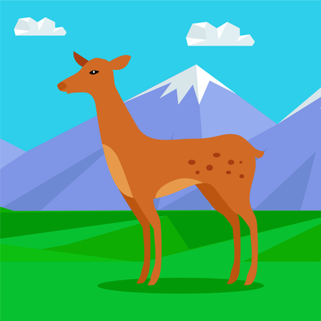 Young Deer  Illustration