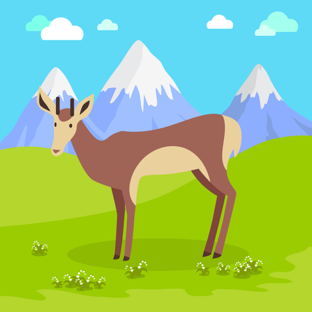 Young Deer  Illustration