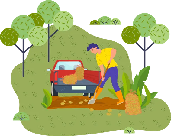 Young Man Works On Green Farm Field Digging Potatoes With Shovel Harvest In Meshed Eco Bags Car With A Trailer And Bags Of Potatoes Work On A Fresh Air Self Sufficiency Green Grass And Trees Illustration