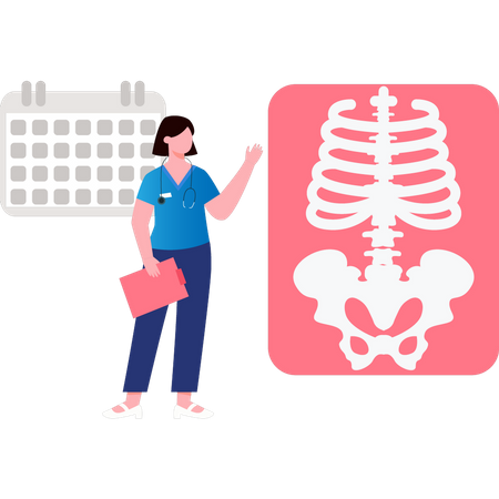 Young girl looking at X-ray of human skeleton  Illustration