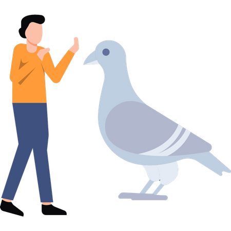 Young girl training pigeon  Illustration