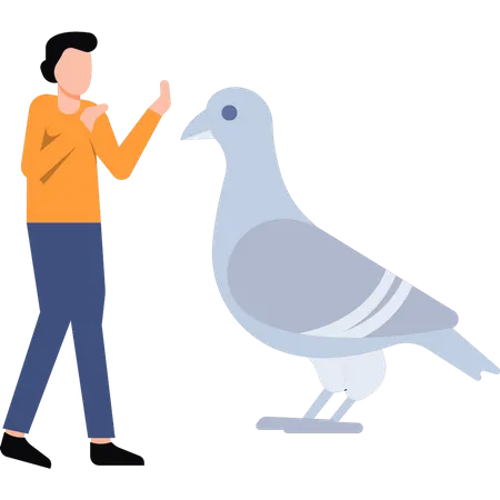 The Girl Is Training The Pigeon Illustration