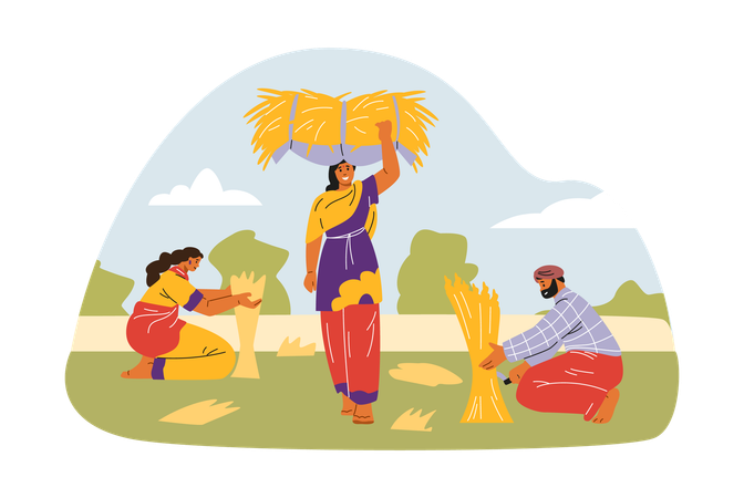 Young Indian women and Hindu working outdoors harvesting and carrying haystacks  Illustration