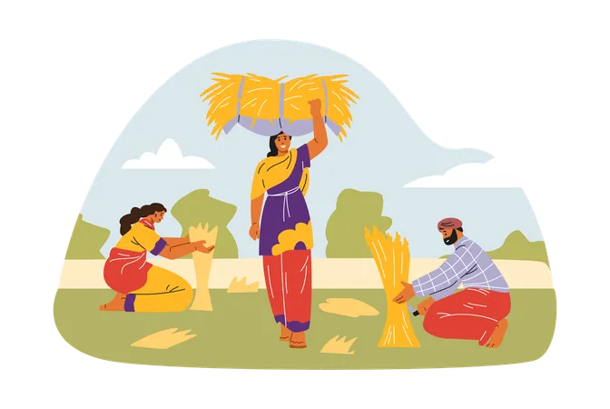 Young Indian women and Hindu working outdoors harvesting and carrying haystacks  Illustration