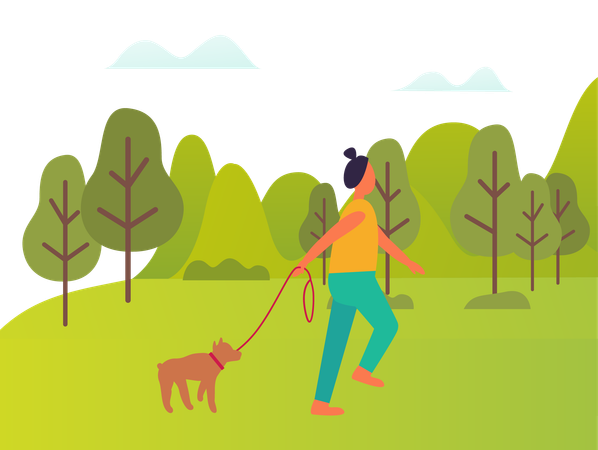 Young lady took pet dog on walk  Illustration