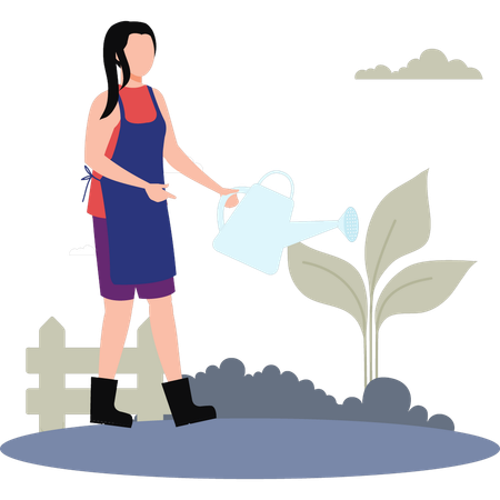 Young Lady Watering Plant  Illustration