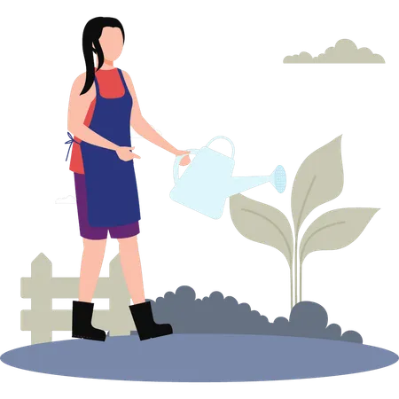 Young Lady Watering Plant  Illustration