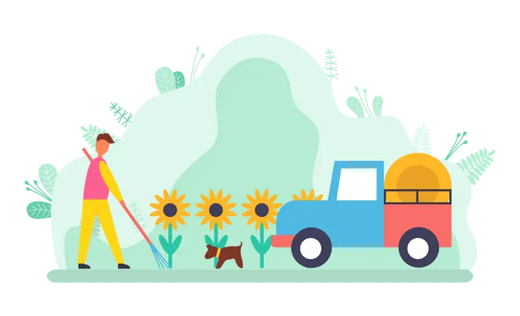 Young man digging in sunflower farm  Illustration