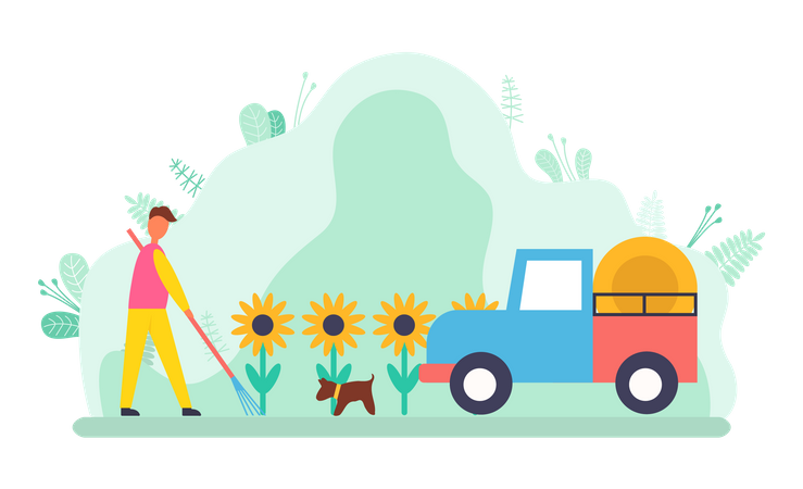 Young man digging in sunflower farm  Illustration