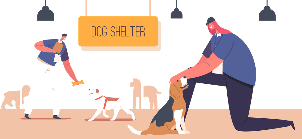 Young Man Feeding Homeless Dogs in Shelter Illustration