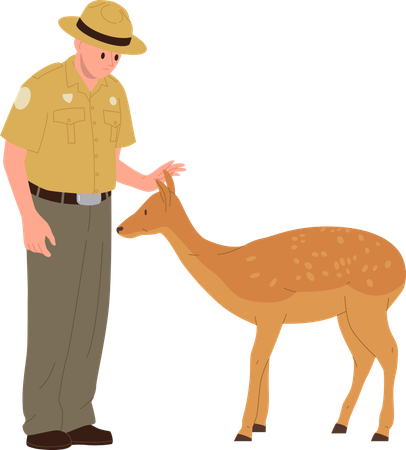 Young man forest ranger feeding deer caring wild animals in natural habitat  Illustration