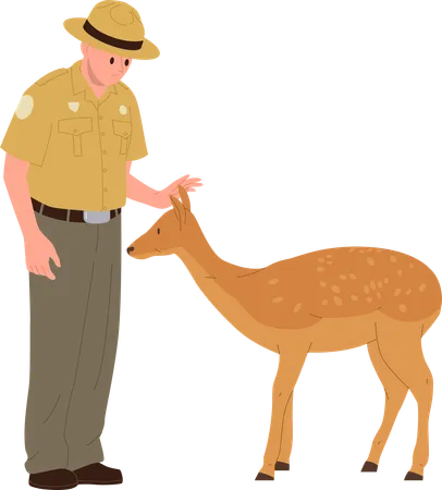 Young man forest ranger feeding deer caring wild animals in natural habitat  Illustration