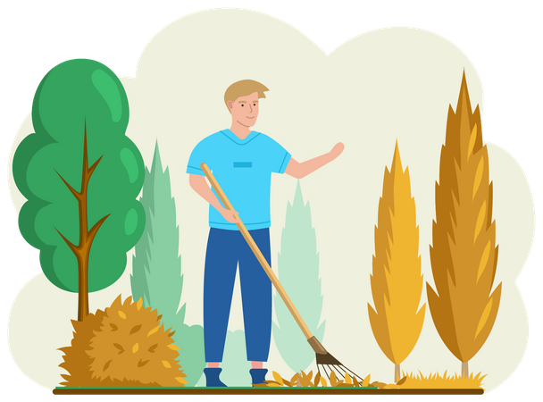Young man removes fallen yellow leaves stands near trees Illustration