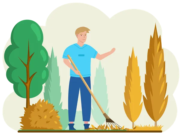 Young Man Doing Seasonal Garden Work Remove Leaves With Rake Works On Yard With Trees Agricultural Worker In Autumn Tidies Up Garden Removes Fallen Yellow Leaves Stands Near Trees And Bushes イラスト