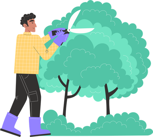 Young man trims bushes in garden with garden shears  Illustration