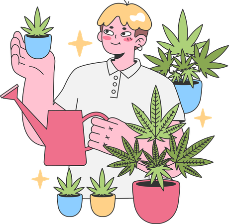 Young man watering hemp plant  Illustration
