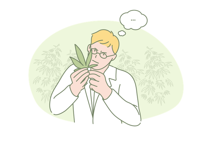 Young scientist researching marihuana chemical properties  イラスト