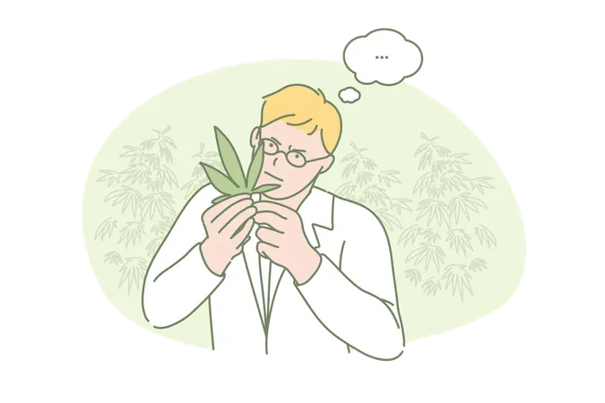 Marijuana Research Medical Science Concept Young Scientist Researching Marihuana Chemical Properties Pharmacist Exploring Narcotic Herb Botanist Analyses Plant For Cultivation Simple Flat Vector イラスト