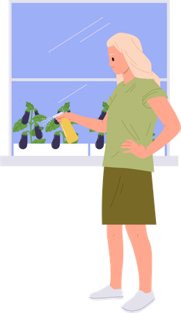 Young woman growing eggplants watering plants in pot on home windowsill  Illustration