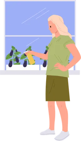 Young woman growing eggplants watering plants in pot on home windowsill  Illustration