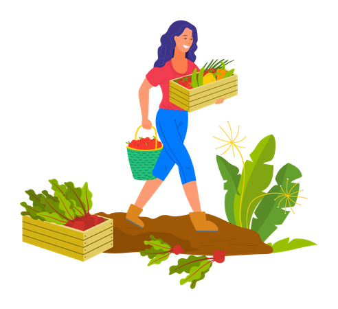Young woman harvest vegetable Illustration