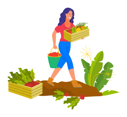 Young woman harvest vegetable Illustration