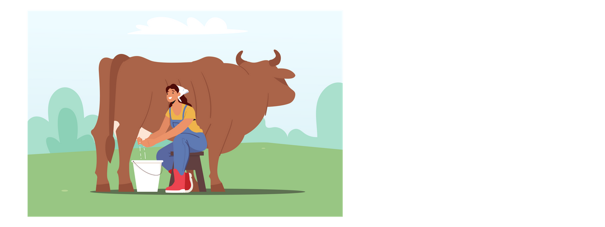 Young woman milking cow and gathering fresh milk  Illustration