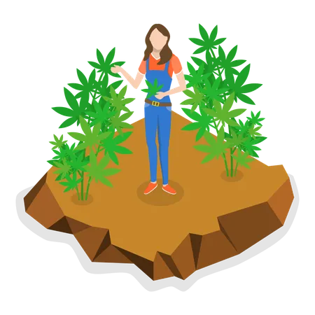 Young woman standing in hemp farm  Illustration