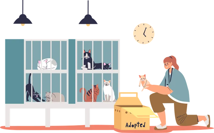 Girl Taking Cat From Shelter Young Woman Volunteer Put Kitten In Box For Adopting Pet Shelter Interior With Kitty In Cages Waiting For Adopt Cartoon Flat Vector Illustration Illustration
