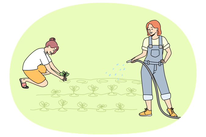 Young women working in garden watering plants together  Illustration