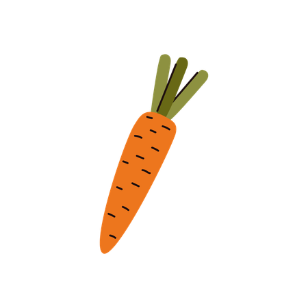 Zanahoria  Ilustración