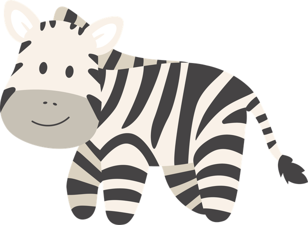Zebra  Illustration