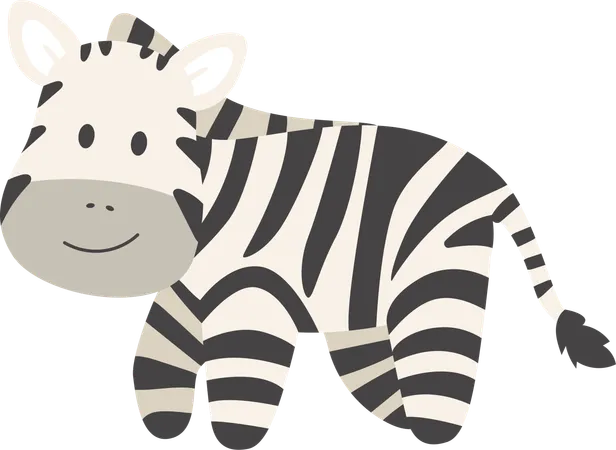 Zebra Cub Baby Animal Illustration イラスト